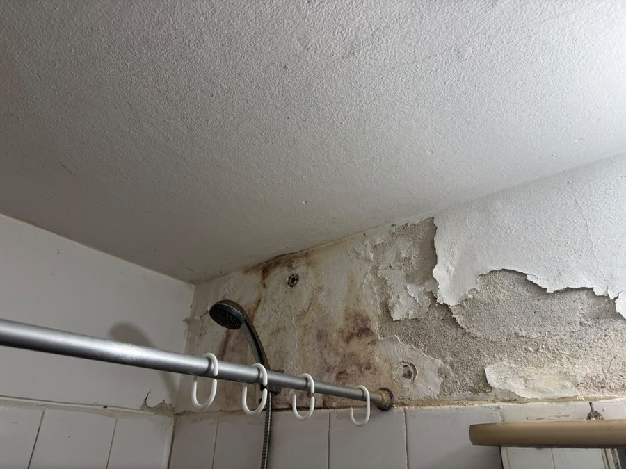 Revoque descascarado por filtración en el baño